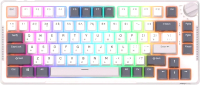 Клавиатура Royal Kludge RK-H81 RGB (белый, Cyan Switch) - 