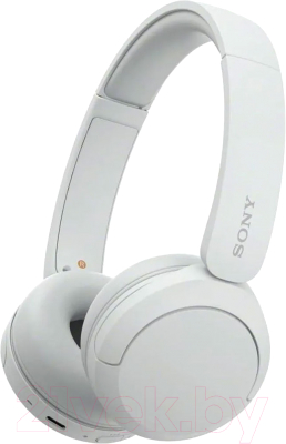Беспроводные наушники Sony WH-CH520 (белый)