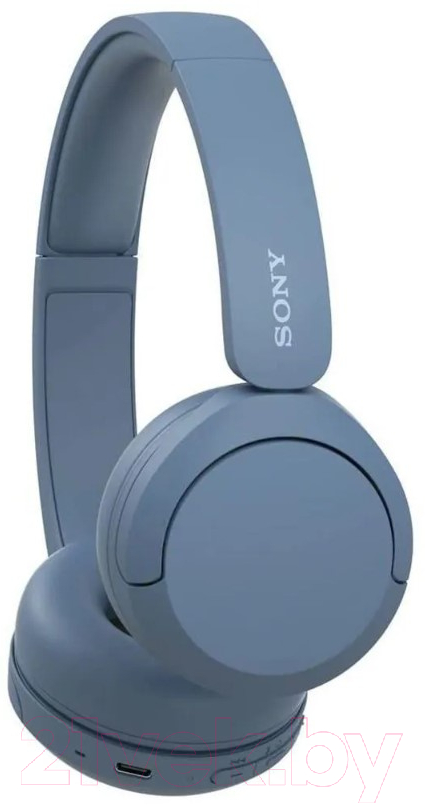 Беспроводные наушники Sony WH-CH520