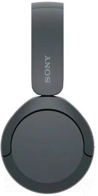 Беспроводные наушники Sony WH-CH520 (черный)