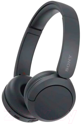 Беспроводные наушники Sony WH-CH520 (черный)