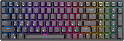 Клавиатура Royal Kludge RK100 RGB (черный, Brown Switch)