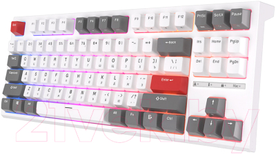 Клавиатура Royal Kludge RK-R87 RGB (белый, Red Switch)
