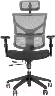 Кресло офисное Ergostyle Sail-E SAE-MF01 (серый)