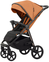 

Детская прогулочная коляска Carrello, Bravo Plus 2023 / CRL-5515