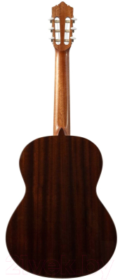 Акустическая гитара Perez 610 Spruce