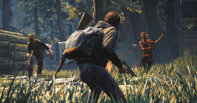 Игра для игровой консоли PlayStation 4 The Last of Us Part II (EU pack, RU version)