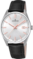 

Часы наручные мужские Candino, C4622/1