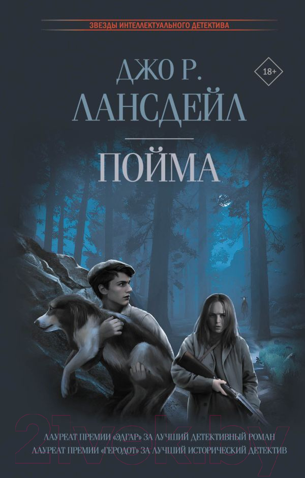 Художественная книга АСТ Пойма (Лансдейл Д.) — фото 1