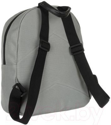 Рюкзак Cedar Lorenti / LR-PL15601 (серый)