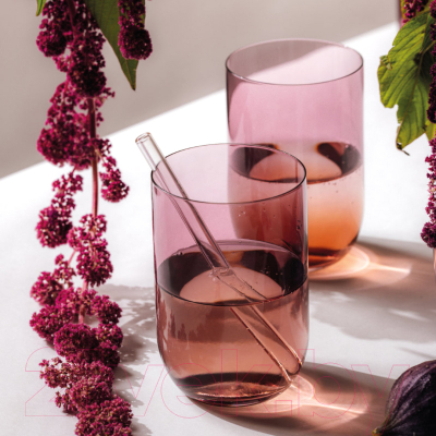 Набор стаканов Villeroy & Boch Like Grape / 19-5178-8190 (2шт)