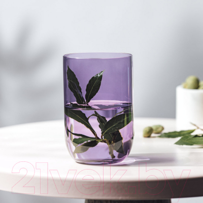 Набор стаканов Villeroy & Boch Like Lavender / 19-5182-8190 (2шт)
