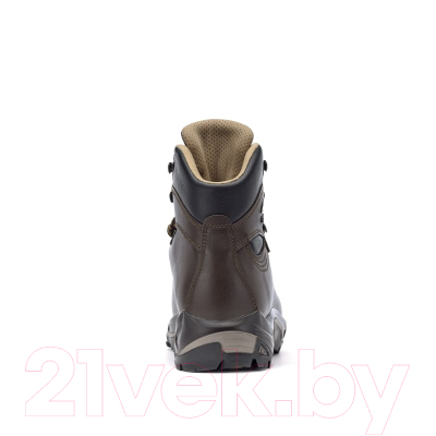 Трекинговые ботинки Asolo Backpacking TPS 520 GV Evo / A11013-A635 (р. 7.5, Chestnut)