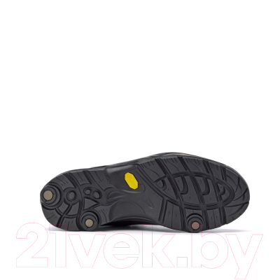 Трекинговые ботинки Asolo Backpacking TPS 520 GV Evo / A11013-A635 (р. 7.5, Chestnut)