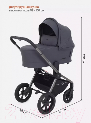 Изображение товара Детская универсальная коляска Rant Flex Pro 3 в 1 2023 / RA075 (Graphite)
