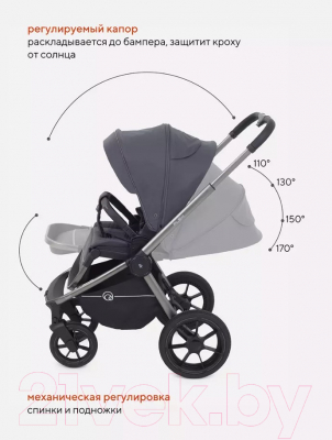 Изображение товара Детская универсальная коляска Rant Flex Pro 3 в 1 2023 / RA075 (Graphite)