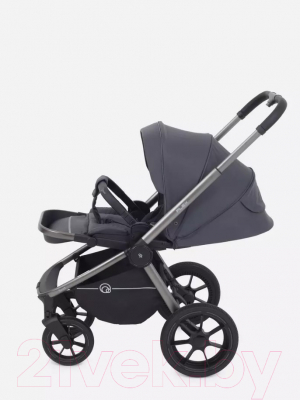 Изображение товара Детская универсальная коляска Rant Flex Pro 3 в 1 2023 / RA075 (Graphite)
