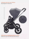 Миниатюра изображения товара Детская универсальная коляска Rant Flex Pro 3 в 1 2023 / RA075 (Graphite)