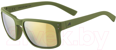 Очки солнцезащитные Alpina Sports Kosmic / A85703-72 (оливковый/бронзовый)