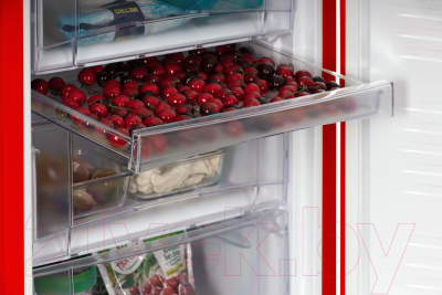 Холодильник с морозильником Nordfrost NRB 154 R
