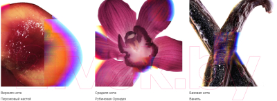 Парфюмерная вода Viktor&Rolf Flowerbomb Ruby Orchid (50мл)