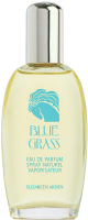 Парфюмерная вода Elizabeth Arden Blue Grass (100мл) - 