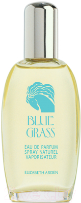 Изображение товара Парфюмерная вода Elizabeth Arden Blue Grass (100мл)