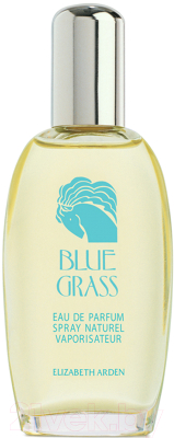 Парфюмерная вода Elizabeth Arden Blue Grass (100мл)