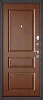 Входная дверь Mastino Family Eco PP-9 (96x205, правая)