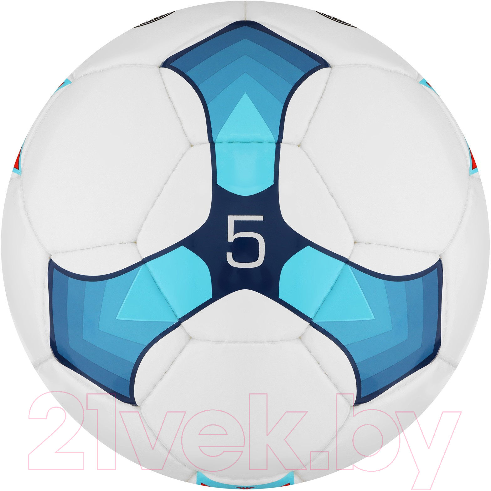 Футбольный мяч Minsa Training 9376736