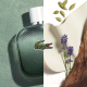 Миниатюра изображения товара Туалетная вода Lacoste L.12.12 Blanc Eau Intense (50мл)