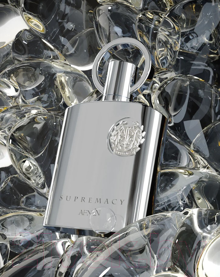 Парфюмерная вода Afnan Perfumes Supremacy Silver