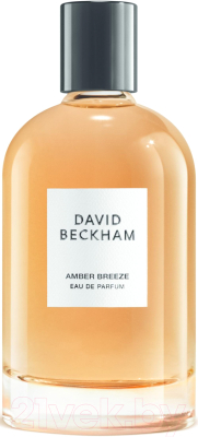 Парфюмерная вода David Beckham Amber Breeze (100мл)