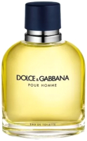 Туалетная вода Dolce&Gabbana Pour Homme (200мл) - 