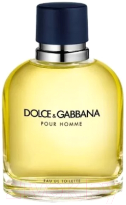 Туалетная вода Dolce&Gabbana Pour Homme (200мл)