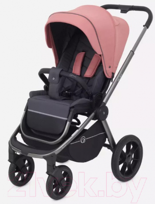 Детская универсальная коляска Rant Flex Pro 3 в 1 2023 / RA075 (Pink)