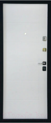 Входная дверь Staller Comfort TR 5 (86x205, правая)
