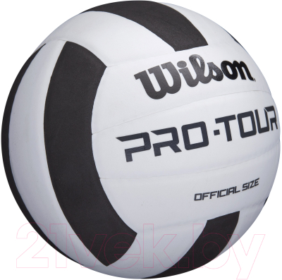 Мяч волейбольный Wilson Pro Tour Vb / WTH20119X