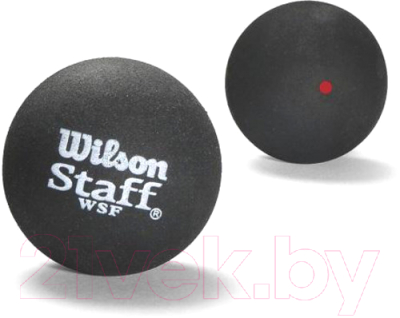 Набор мячей для сквоша Wilson Staff Red Dot / WRT6177