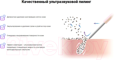 Аппарат для чистки лица Ready Skin Glory