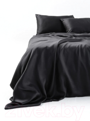 Комплект постельного белья GoodNight Essential 1.5 / 400380 (черный)