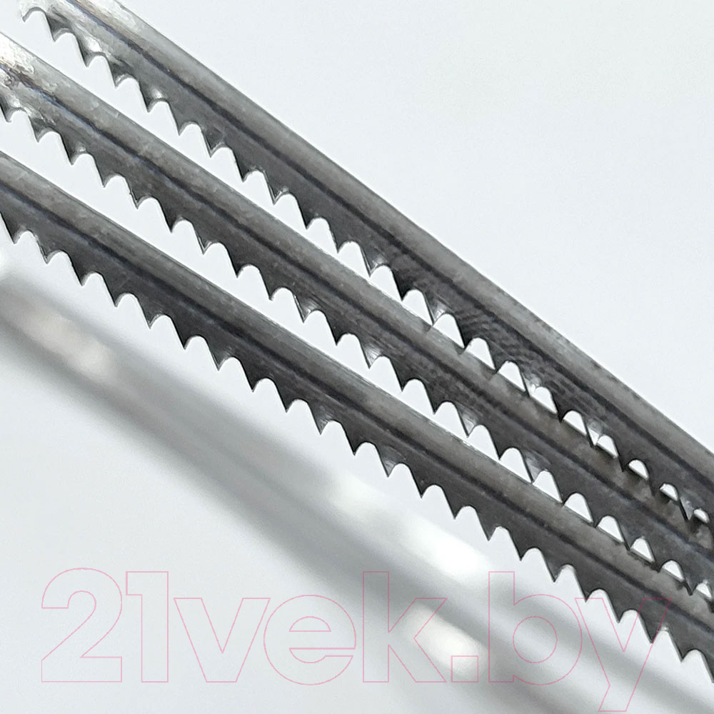 Пильное полотно для станка БЕЛМАШ N-Flexible 4x0.63-10 tpix3 607 / PP109A — фото 2