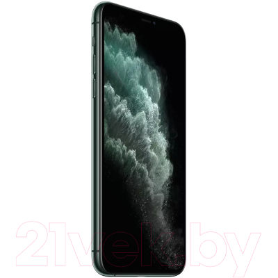 Смартфон Apple iPhone 11 Pro Max 256GB / 2BMWHM2 восстановленный Breezy Грейд B (темно-зеленый)