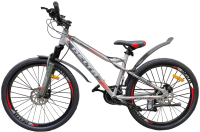 Велосипед DeltA D610 26 6126 (16, серебристый) - 