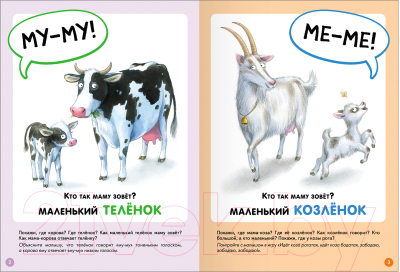 Набор развивающих книг Мозаика-Синтез Школа Семи Гномов. Базовый курс 1+ / МС13216
