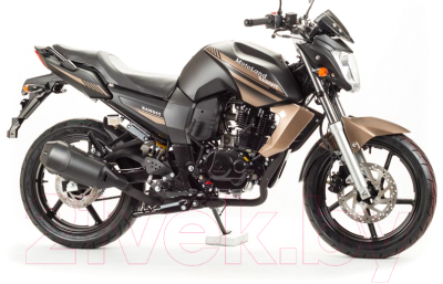 Мотоцикл Motoland Bandit 250 XV 250-A (коричневый)