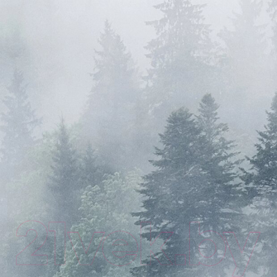 Фотообои листовые Citydecor Лес в тумане (312x265)