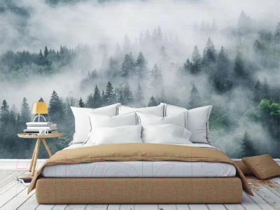 Фотообои листовые Citydecor Лес в тумане (312x265)
