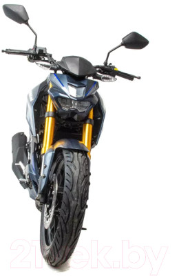 Мотоцикл Motoland XL250-F MT 250 172FMM-5/PR250 (синий)
