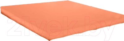 Простыня Бояртекс Сатин 180x200x20 (оранжевый)